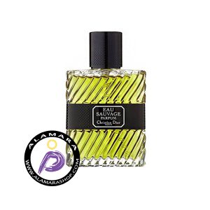 عطر دیور او ساواج پارفیوم Dior Eau Sauvage Parfum