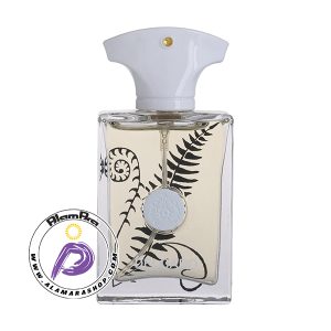 عطر مردانه براکن آمواج 25 میل دلگادو DELGADO
