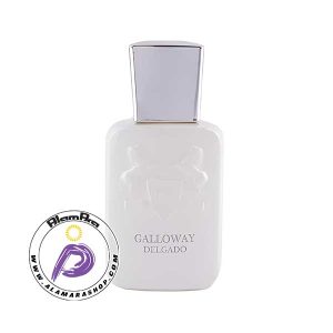 عطر مردانه گالووی 25 میل دلگادو Delgado